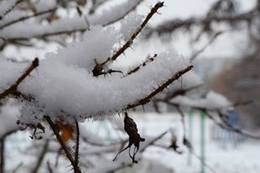 На выходных белгородцев ждут сильные морозы