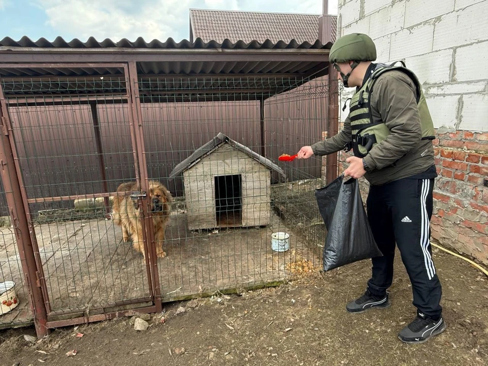 Пять экипажей самообороны подкармливают животных в белгородском приграничье0