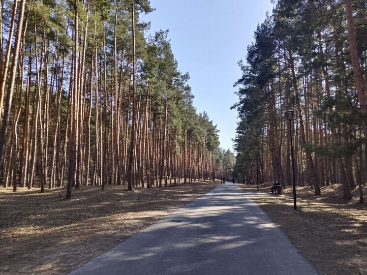 В Белгородской области потеплеет в пятницу